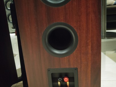 Loa cây nghe nhạc cực chất Jbl stage a180 tô điểm không gian sống 2