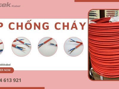 Cáp chống cháy chống nhiễu 2 lõi Altek Kabel 1
