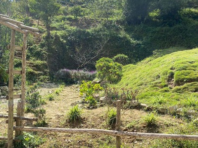 Thanh khoản mảnh đất siêu đẹp tịa xã Tả Phìn đón sóng quy hoạch 2