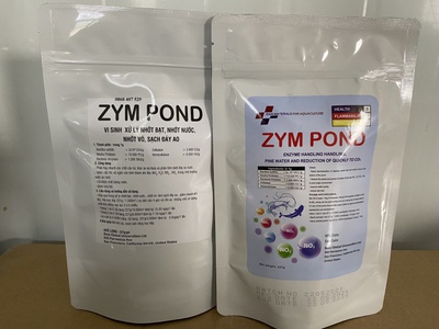 Zym pond chuyên xử lý NO2, mùn bã hữu cơ, làm sạch môi trường ao nuôi 2