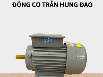 Động cơ điện 1 pha Trần Hưng Đạo ST - S4  3.5KW 2