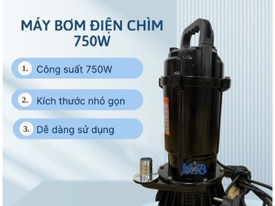 Máy bơm chìm Potenca SP-037D1 1