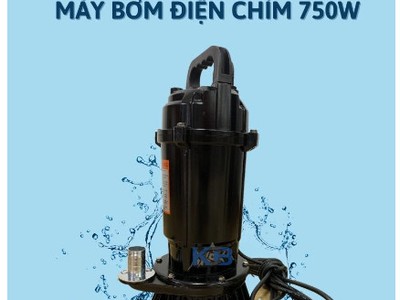 Máy bơm chìm Potenca SP-037D1 2
