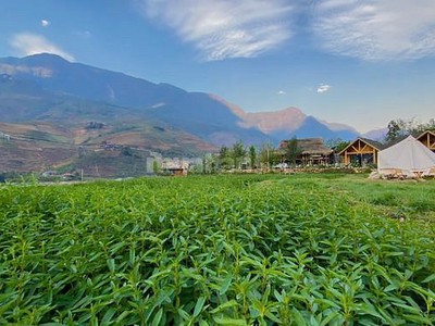 Bán đất nền tại trung tâm Tả Phìn phù hợp đầu tư đón sóng cao tốc Hà Nội - Lào Cai - Sapa 0