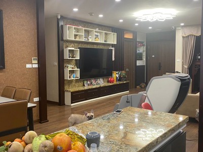 Xe gia đình còn mới đến 99% 371