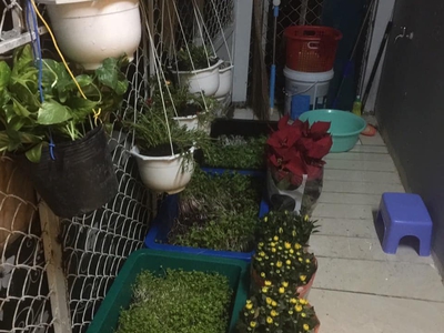Xe gia đình còn mới đến 99% 23