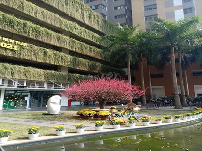 Xe gia đình còn mới đến 99% 660