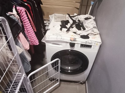 Xe gia đình còn mới đến 99% 398