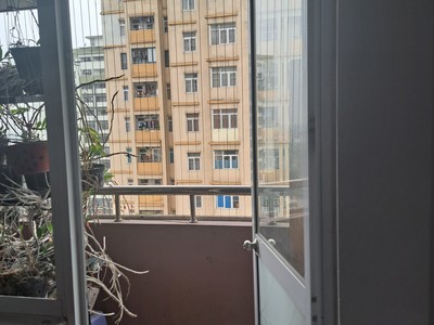 Xe gia đình còn mới đến 99% 650