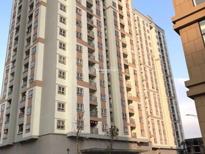 Xe gia đình còn mới đến 99% 429
