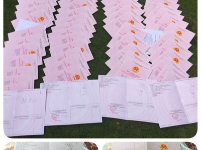Xe gia đình còn mới đến 99% 341