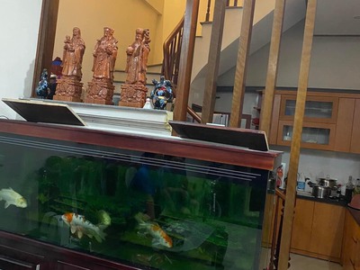 Cần bán nhà thanh nhàn, võ thị sáu 50m 5 tầng, ô tô đỗ cửa, kinh doanh, nhỉnh 7 tỷ 0