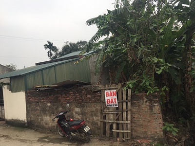 Xe gia đình còn mới đến 99% 334