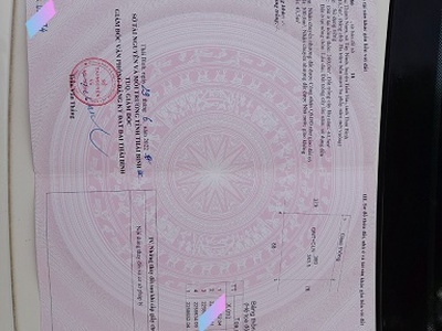 Xe gia đình còn mới đến 99% 442