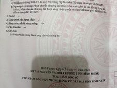 Xe gia đình còn mới đến 99% 716