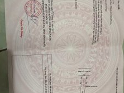 Xe gia đình còn mới đến 99% 714