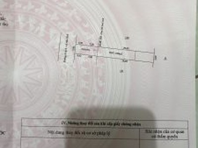 Xe gia đình còn mới đến 99% 723