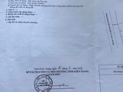 Xe gia đình còn mới đến 99% 740