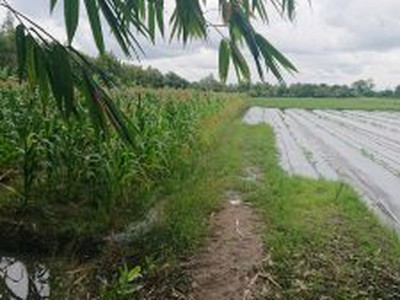 Xe gia đình còn mới đến 99% 769