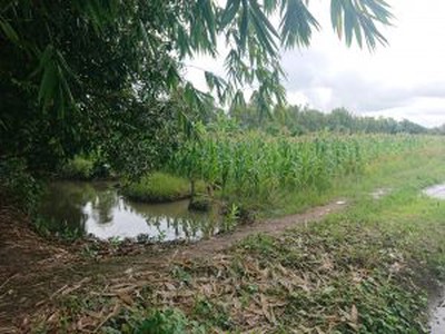 Xe gia đình còn mới đến 99% 783