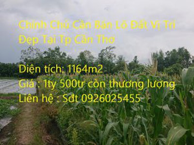 Xe gia đình còn mới đến 99% 787