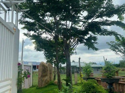 Nhà vườn Hàm Thắng cách Phan Thiết chỉ 4km- giá ngộp 1