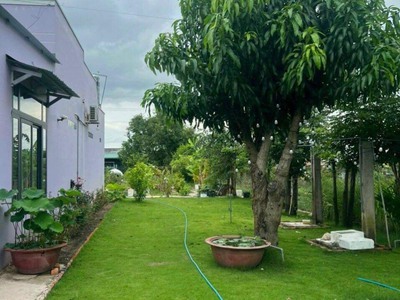 Nhà vườn Hàm Thắng cách Phan Thiết chỉ 4km- giá ngộp 3