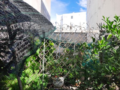 Chủ ngộp bank bán lô đất rẻ nhất khu vực q2 , hẻm ba gác đường 30 phường cát lái , diện tích 53 m2, 1