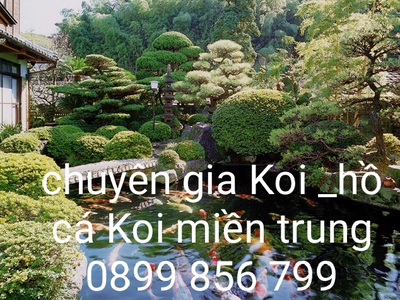 Tiếng róc rác chảy hồ Koi âm hưởng cuộc sống. 0