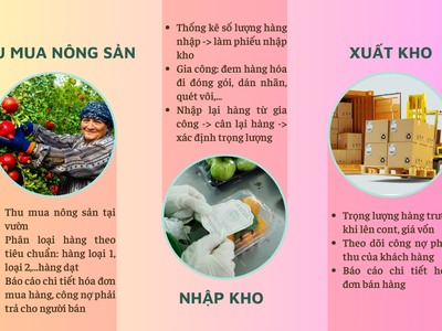 Phần mềm quản lý kho nông sản 0