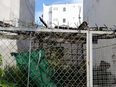 Chủ ngộp bank bán lô đất rẻ nhất khu vực q2 , hẻm ba gác đường 30 phường cát lái , diện tích 53 m2, 4