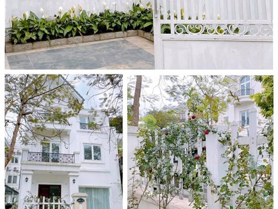 Bán biệt thự vin riverside, khu anh đào 2, song lập, ở đẳng cấp, 161m2, 25 tỷ 0