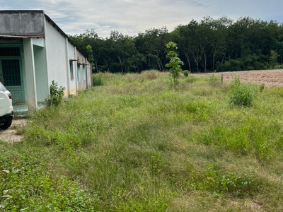 Bán 2 lô đất liền kề tại bàu bàng, bình dương 0