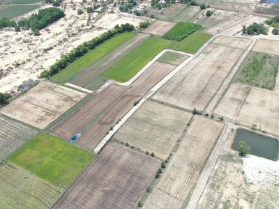 Bán nhanh lô đất 2882m2 xã Hòa Thắng, quy hoạch thổ cư, gần Bàu Trắng 1