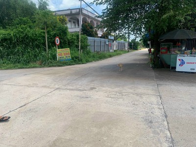 Đất chính chủ 175m2 Sổ sẳn, Suối Lội, Tân Thông Hội Củ Chi bán nhanh 365tr 0