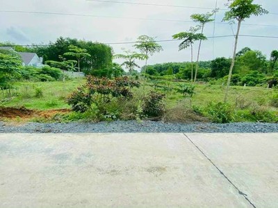 Đất chính chủ 175m2 Sổ sẳn, Suối Lội, Tân Thông Hội Củ Chi bán nhanh 365tr 1
