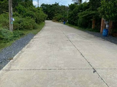 Đất chính chủ 175m2 Sổ sẳn, Suối Lội, Tân Thông Hội Củ Chi bán nhanh 365tr 2