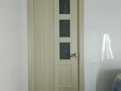 Cửa nhựa giả gỗ Đài Loan tại Bình Dương 2
