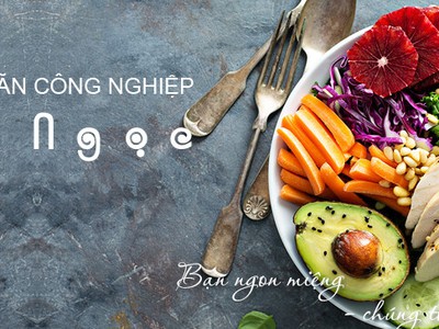 Suất ăn công nghiệp là gì, kênh youtube ngọc thiện food 0