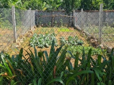 Chính chủ bán lô đất đồng trúc 100m giá 2.x tỷ - đường xe công tránh - 50m ra đại lộ thăng long 0