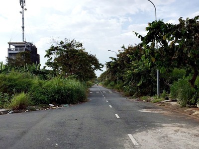 Bán bán bán đất , bán đất biệt thự phường cát lái, thành phố thủ đức 1