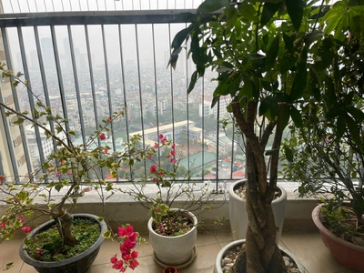 Chung cư v2 victoria văn phú q. hà đông, giá rẻ, tặng toàn bộ nội thất gắn tường, 97m2, 3 pn giá 4