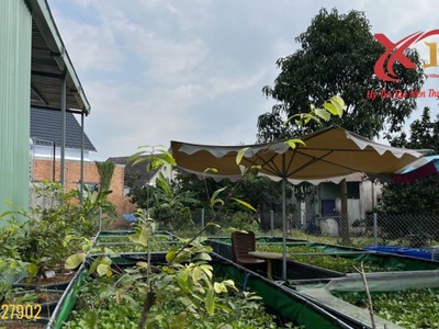 Bán xưởng 1600m2  xã tân an, vĩnh cửu, đồng nai chỉ 6,5 tỷ 2