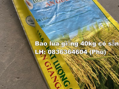 Bao bì lúa giống đẹp chất lượng xuất khẩu 1