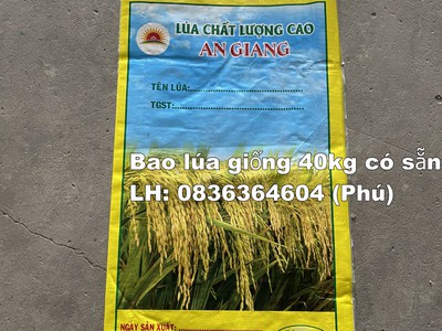 Bao bì lúa giống đẹp chất lượng xuất khẩu 2