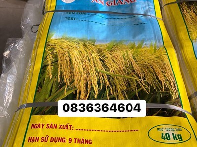 Chuyên cung cấp bao lúa giống 40kg GIÁ RẺ 0