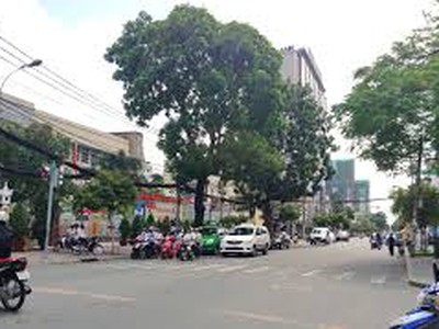 Mặt tiền đường cách mạng tháng 8 20 x 40, hđt 500 triệu/tháng 3 tầng 300 tỷ. 1