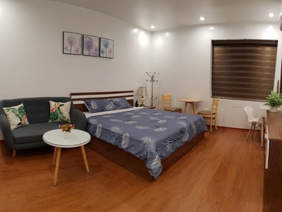 Cho thuê căn hộ studio tại Khu đô thị Waterfront City. 1