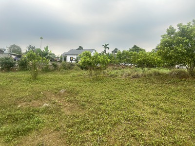 Bán đất phú mãn , quốc oai, hà nội 2171m2 giá nhỉnh 2tr/m2 2