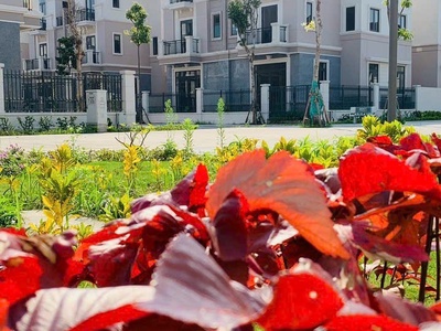 Sở hữu ngay căn biệt thự ven sông tự nhiên tại kđt cửa ngõ đông bắc hà nội 1